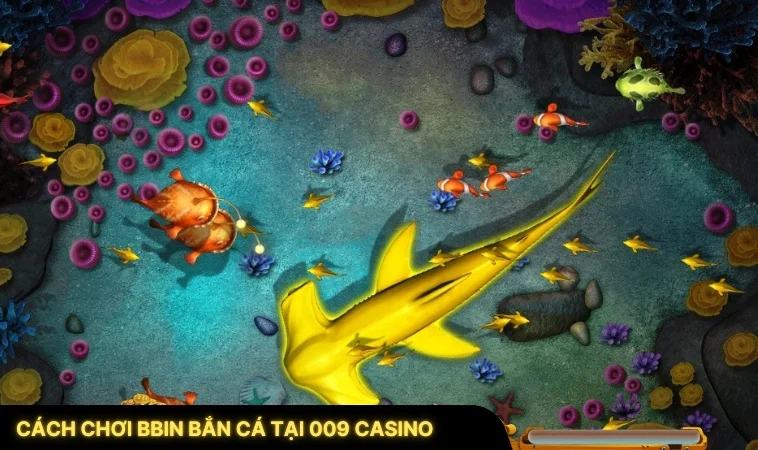 Cách Chơi BBIN Bắn Cá Tại 009 Casino